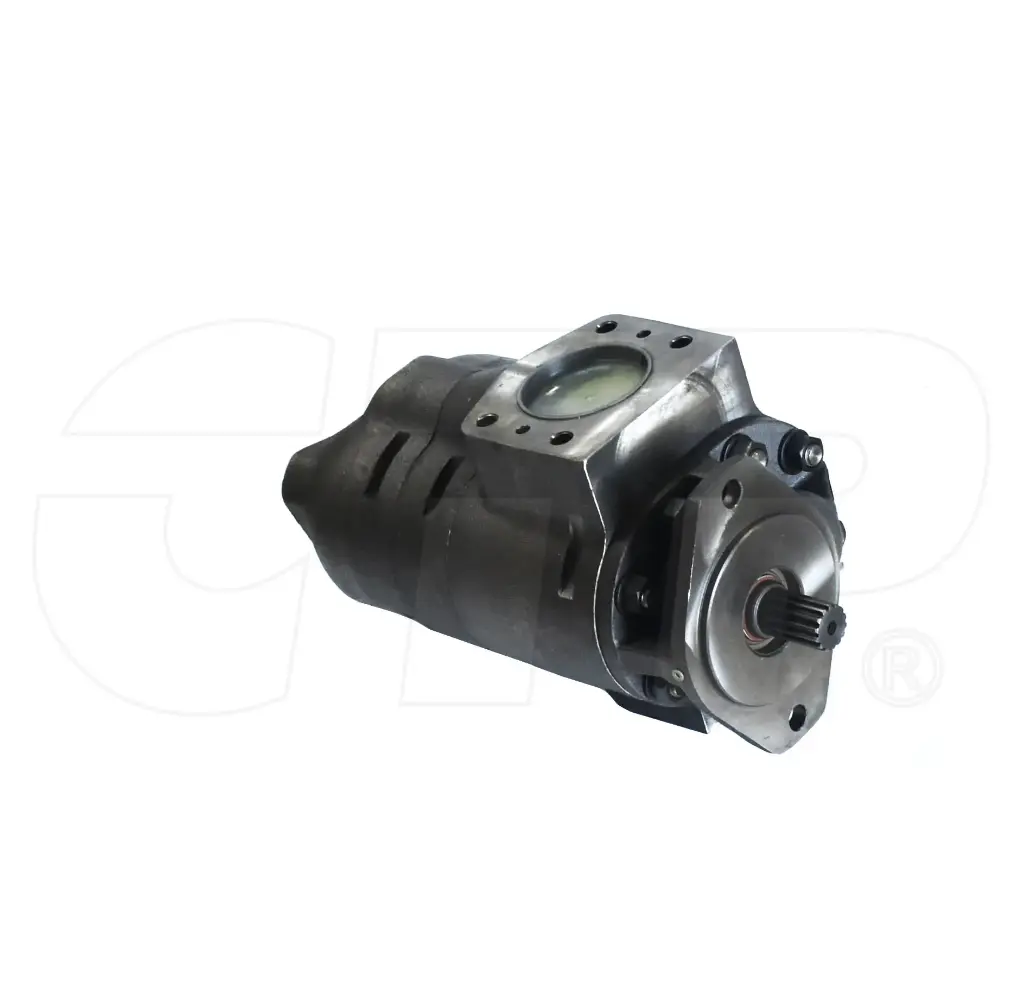 PUMP GP-GEAR	(2929964)
