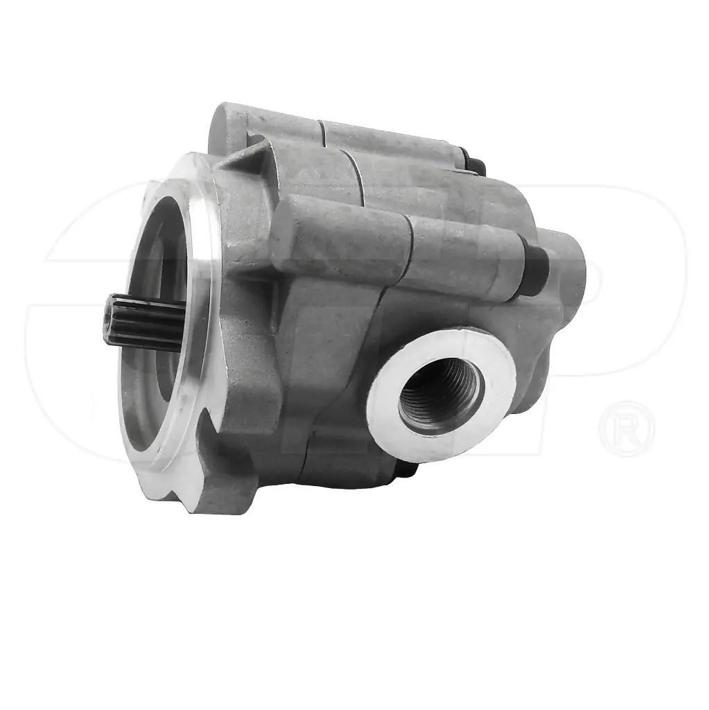 PUMP GP-GEAR	(2897917)