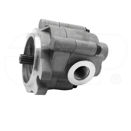 PUMP GP-GEAR	(2897917)